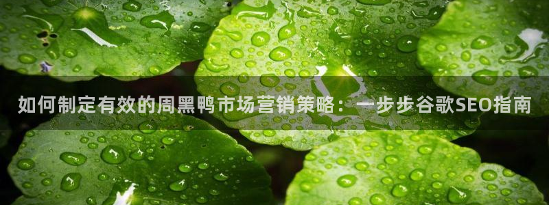 必赢线上网址查询