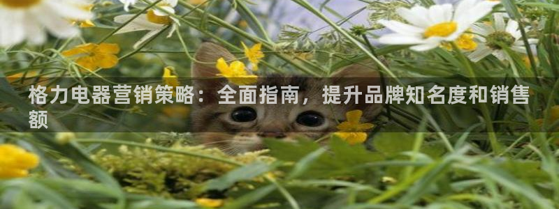 必赢3003+会员账号