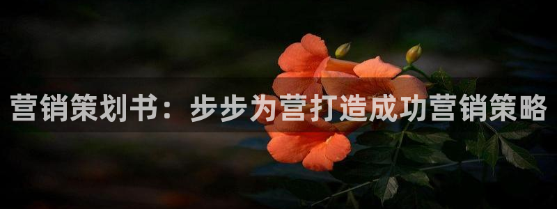 必赢手机版官网