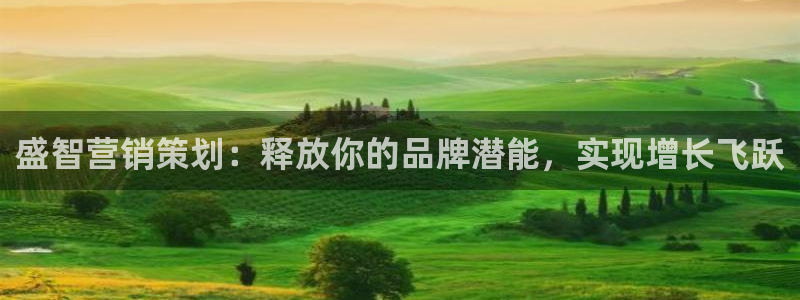 必赢线上网址是什么