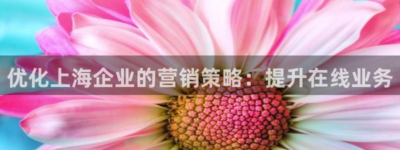 必赢下载安卓版