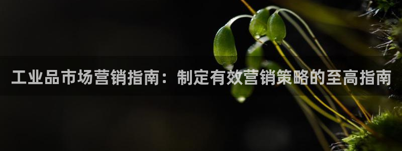 必赢手机app下载官网最新版