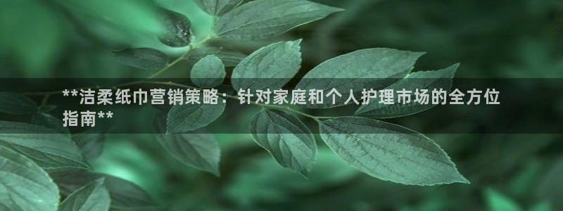 必赢网址手机主页打不开