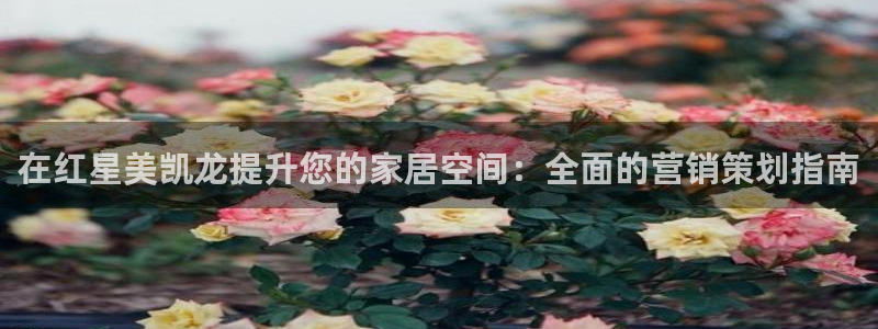 必赢线上网址是多少