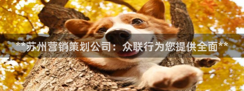 必赢官网网站入口网址