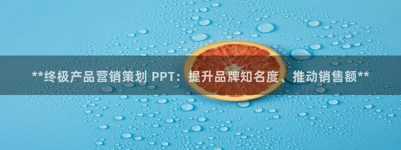 必赢国际437官网版