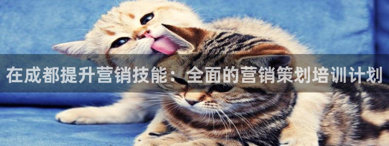 必赢3003am