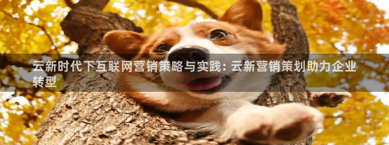 必赢国际苹果怎么下载