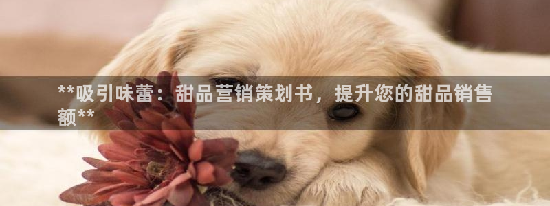 必赢首页