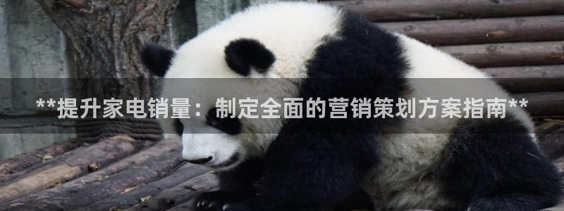必赢手机app下载 最新版苹果