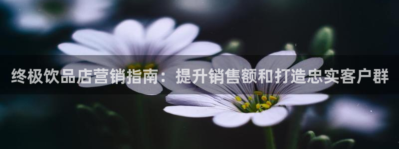 必赢国际软件下载