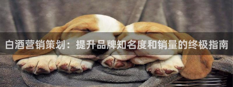 必赢下载安卓版下载