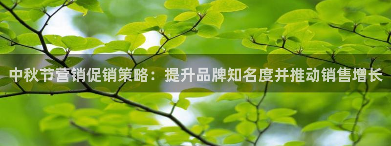 必赢亚赢网站官网下载安卓手机