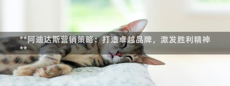 必赢官网app下载安装苹果版