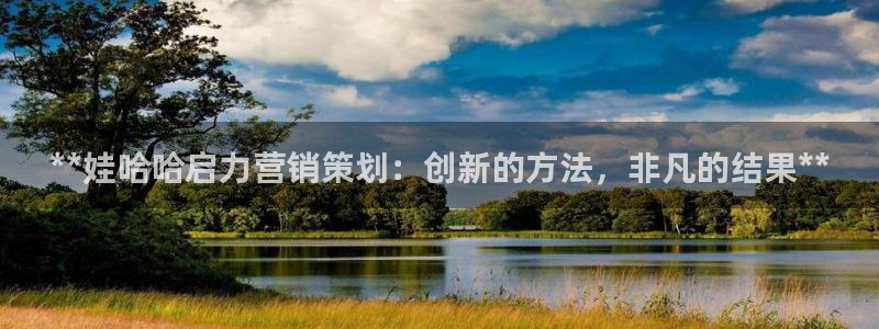 必赢平台电子