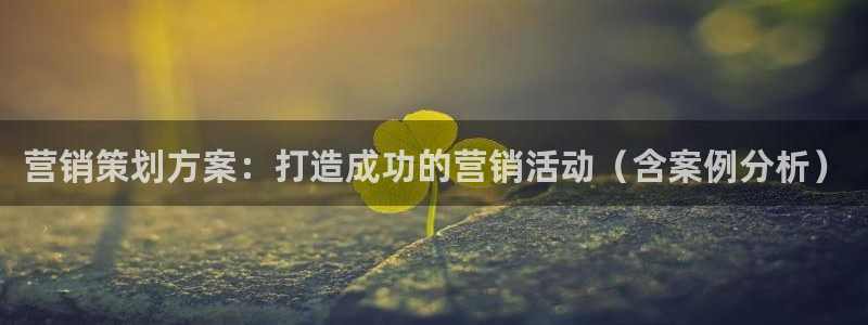 必赢必赢