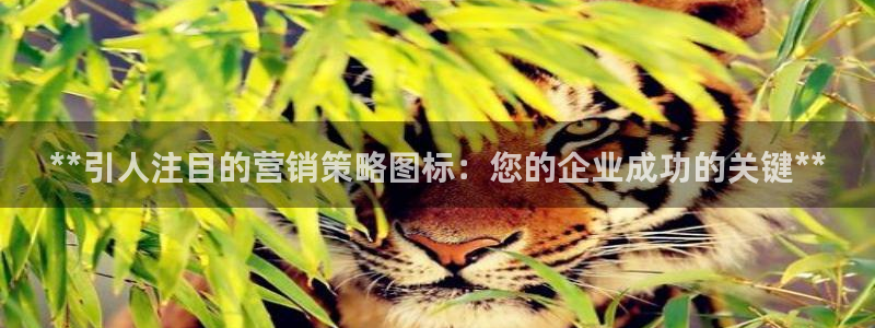必赢8833扑鱼