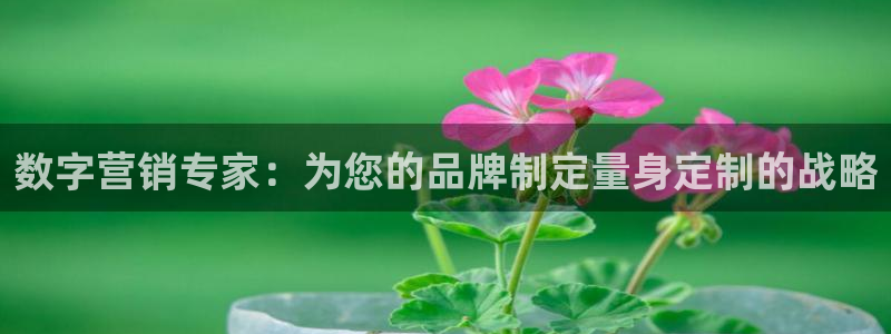 必赢网站是多少啊