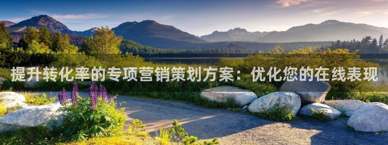 必赢国际是什么