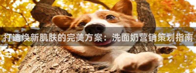 必赢客官方