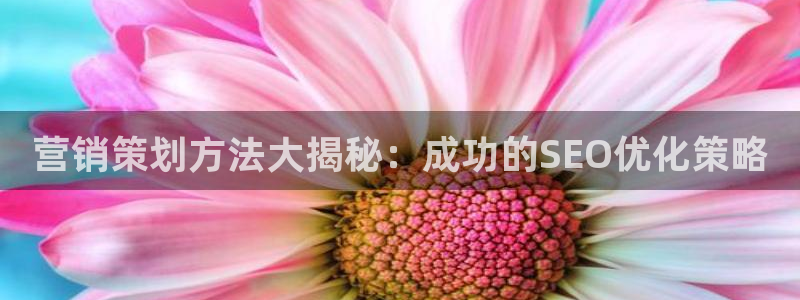 必赢公司是怎样的一家企业