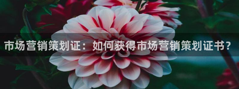 必赢官网app下载安装手机版最新版