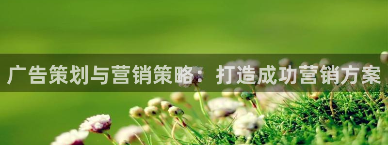 必赢国际的网站多少