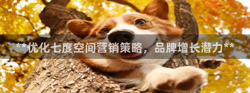 必赢平台网
