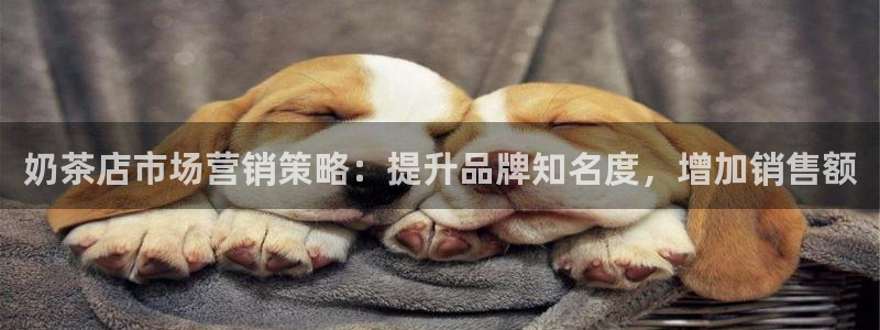 必赢手机app下载 最新版苹果