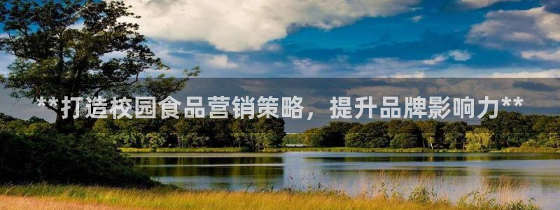 必赢科技有限公司