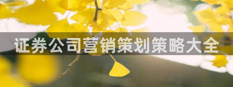 必赢官网app下载