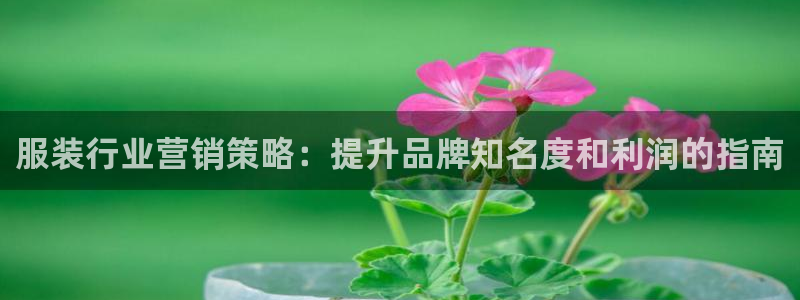 必赢平台电子