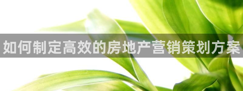 必赢国际网站合法吗