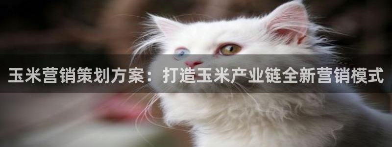 必赢下载官方