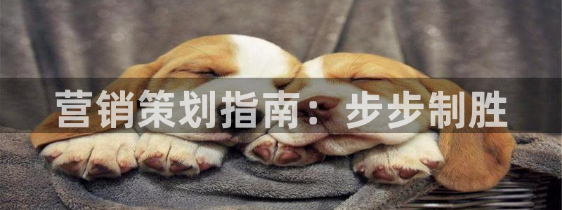 必赢平台怎么样把钱提到银行卡里