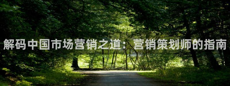 必赢网址手机主页打不开