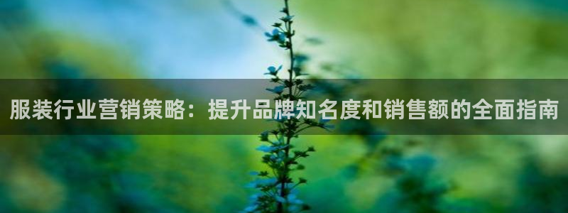 必赢公司