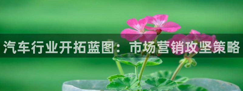 必赢集团网站