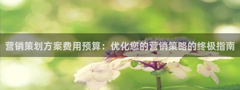 必赢必赢