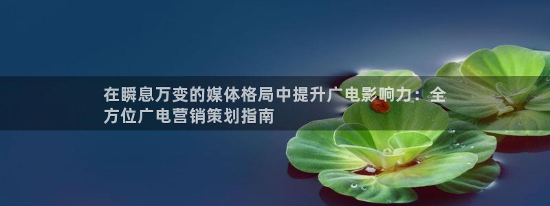必赢net.95