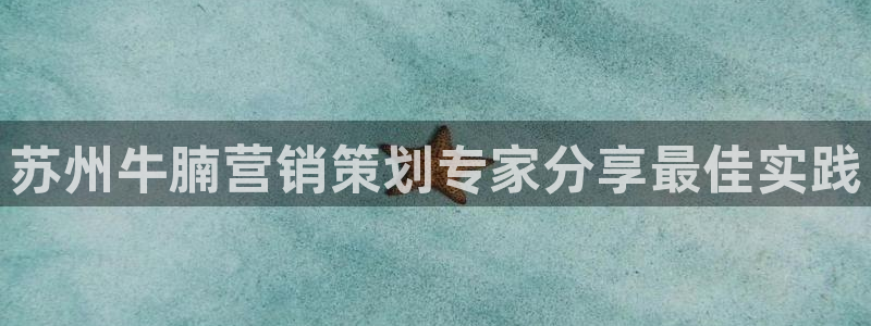 必赢国际app最新官网