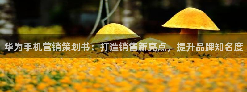 必赢网址谁知道是真的