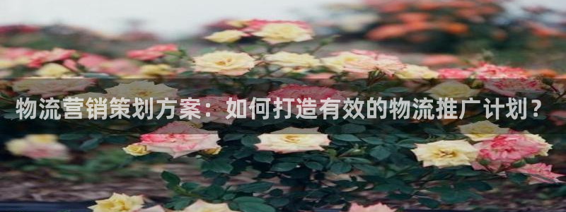 必赢官网网址8873