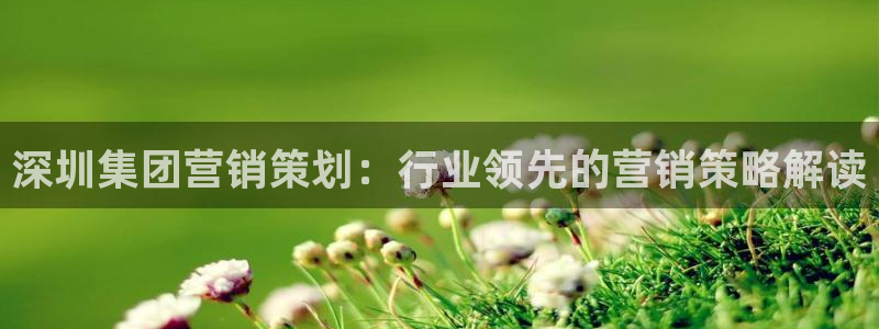 必赢手机app下载 最新版安卓苹果