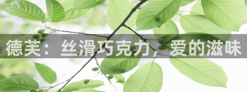 必赢亚赢网站官网下载手机版安卓