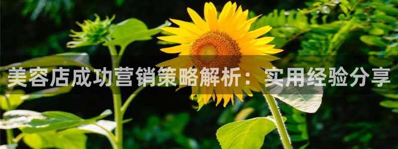 必赢手机app下载抢红包