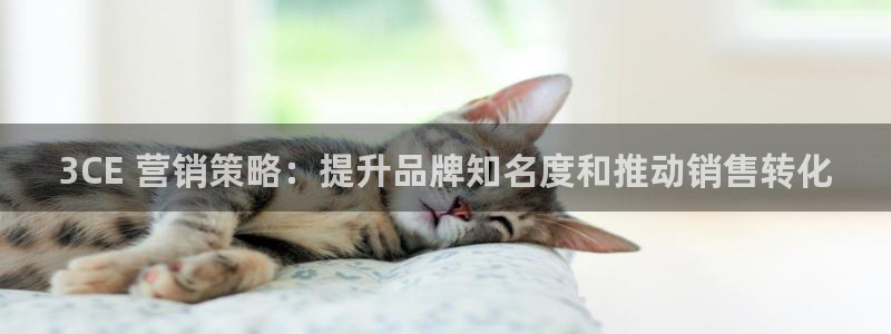 必赢线上网址是多少