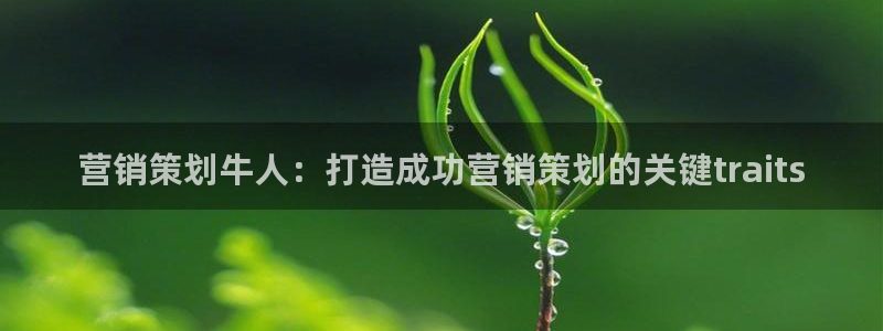 必赢亚赢网站官网下载安装最新版