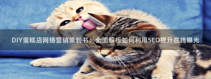 必赢网址
