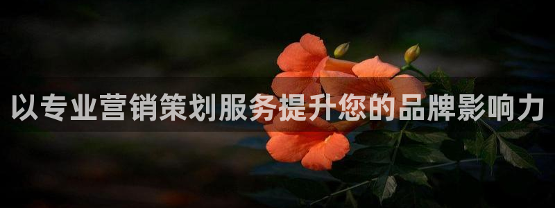 必赢网站充值是真的吗